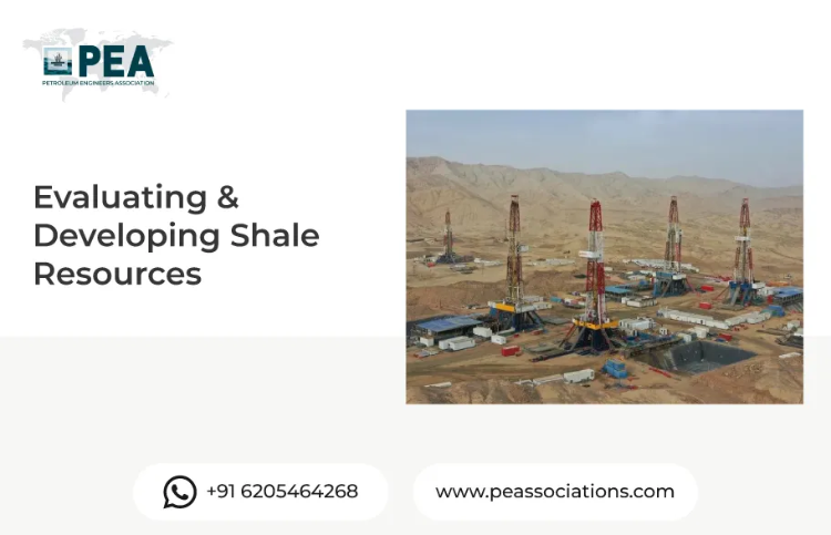 Evaluating & Developing Shale Resources